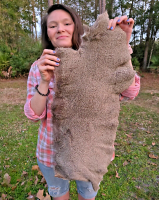 #ad #ad Mule Deer Hide Hair on Hide Full Tanned Skin leather real fur taxidermy 2 $149.95