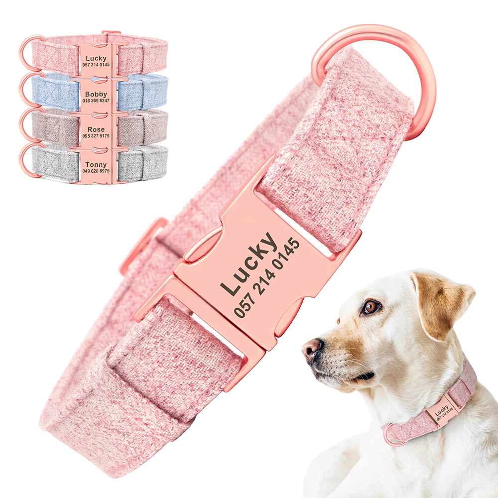Rose gold dog top collar and leash