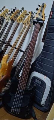 Modulus　Genesis　５st Modulus Genesis 5st Electric Bass Guitar 1999 | eBay