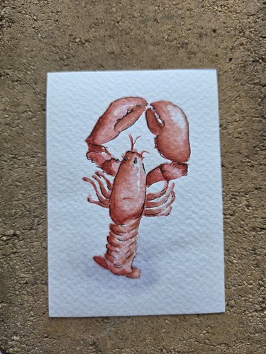 ACEO The Lobster Original Watercolor & Ink 50 States Collection MAINE 2.5x3.5"