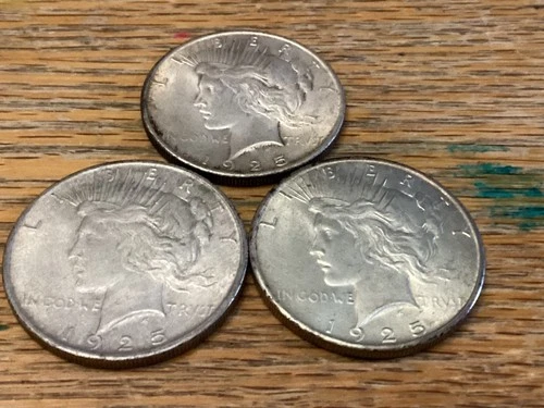 1925 Peace Silver Dollar - Philadelphia Mint Circulated Fine Condition