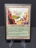 Magic The Gathering - Visions - Undiscovered Paradise