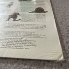 Foto 11 di 13