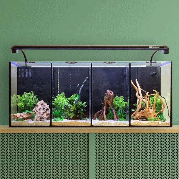 Aqua One Betta Quad Glass Aquarium 60L Three Fish Tanks in One! Filter LED Light - Image 3 of 3