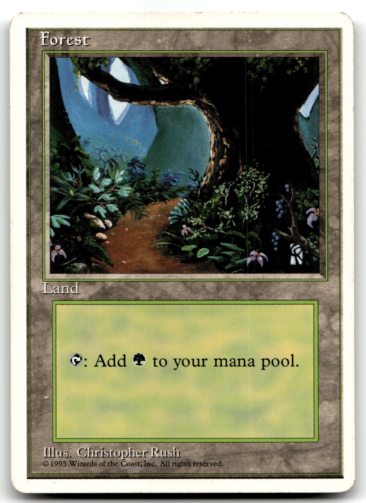MTG Forest (C) L Fourth Edition 176 LP