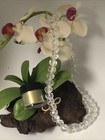 Bild 6 von 10