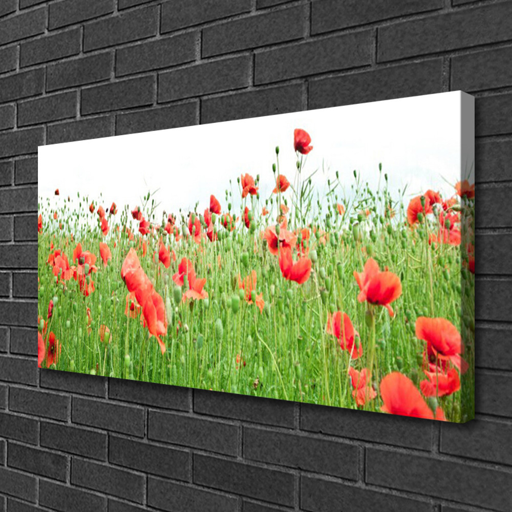 Photo sur toile nature 100x50 cm avec motif de coquelicots rouges pour decoration murale