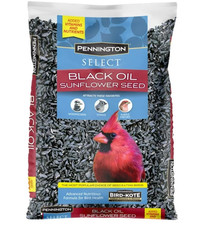 Pennington Select Black Oil Sunflower Seed Wild Bird Dry Feed, 10 lb. New Bag