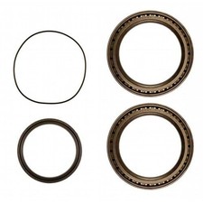 Dana/spicer Planetary Wheel Hub Bearing & Seal Kit, Mfd Fits Massey Ferguson