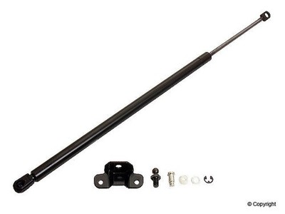 WD Express SG226006 Stabilus Hood Lift Support