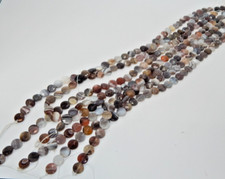 Botswana Agate 10mm faceted coin beads 15 in strand 