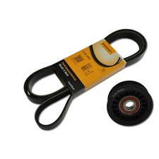 Rep.-Satz Keilrippenriemen (XL) mit Spannrolle für OPEL Omega Vectra X25XE-Y32SE