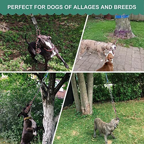 Dog Outdoor Bungee Hanging Toy with Spring and Rope Tether Tug of
