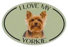 Oval Dog Breed Picture Car Magnet - I Love My Yorkie (Yorkshire Terrier)