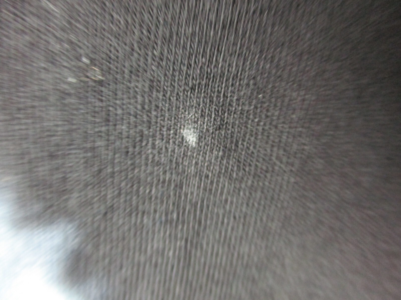 Picture 9 of 9
