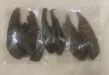 Pack of 3 Wings Fly Tying - 1 each of grouse, teal & mallard Gordon Griffiths