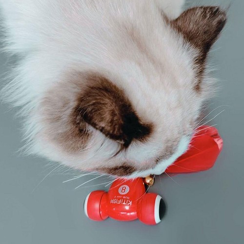 KitiFish Num-mini 8 Cat Toy N8C9ღ J2T7 O1X6 Q6N9 L8Z3 D5P3 - Picture 10 of 12