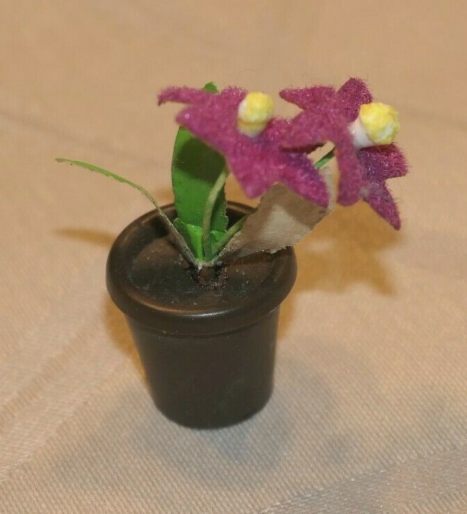 Picture 99 of 125