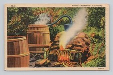 Postcard Making Moonshie In Kentucky Moonshine "Still" Hidden In The Hills