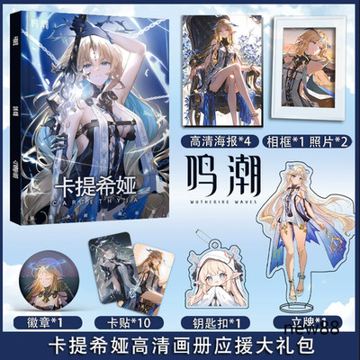 Wuthering Waves Game Periheral Cartethyia Theme Personal Album Collection
