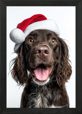 Field Spaniel Dog with Santa Hat Po Framed Wall Art Poster Canvas Print Picture