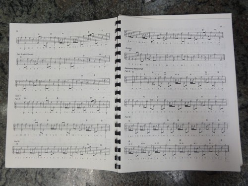 Virtual Band Banjo 4 Books and 5 CDS Bluegrass Banjo Method - Foto 7 di 21