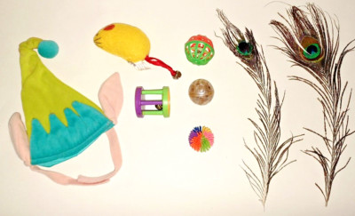 KITTEN SMALL CAT ELF HAT Christmas + Lot of Cat Toys Peacock Feathers Balls