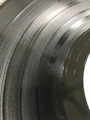The Accents LP Full Spectrum Forward ACC 11616 Private Indiana Folk Signed Auto - Picture 9 of 9