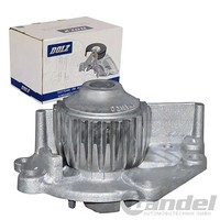 Dolz Wasserpumpe KÜHlmittelpumpe MIT Riemenscheibe Passend FüR Rover 100 200 | M