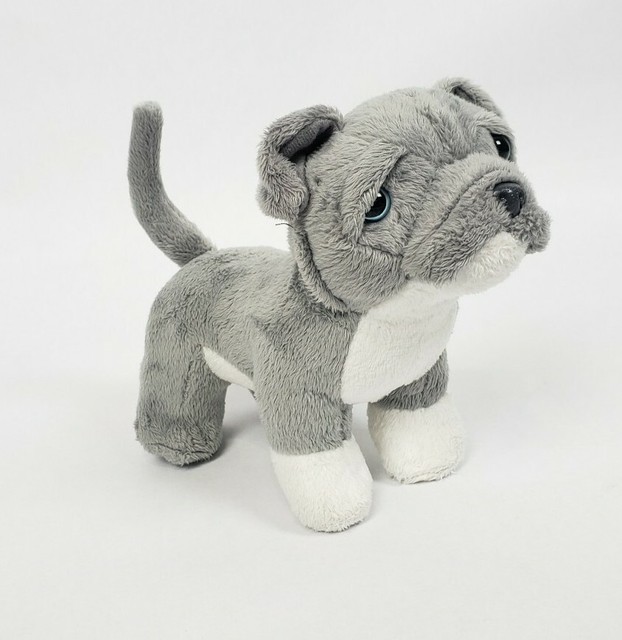 our generation yorkshire terrier pup