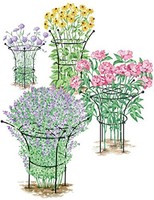 Essex Plant Supports Small Set Of 2 Essex Plant Supports Small Set Of 2