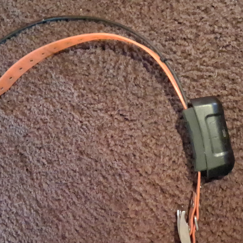 Electronic Dog Bark Collar Orange Strap Black Receiver w/ Receiver Module