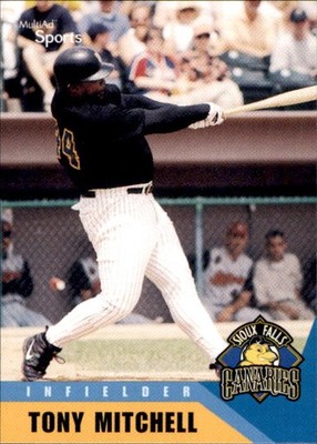 2002 Sioux Falls Canaries Multi-Ad #17 Tony Mitchell Southfield Michigan MI Card