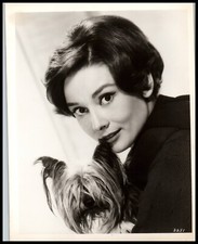 ¡EXCELENTE! Foto original de la historia de monja de Audrey Hepburn y su perro Yorkie 1958 701