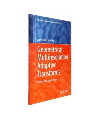Geometrical Multiresolution Adaptive Transforms: Theory and Applications, Agnies