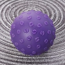  Rouleau Massage Pied Appareil Des Pieds Ballon Stabilité D'équilibre