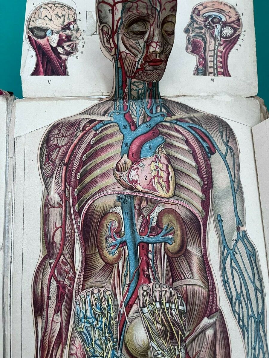 Das Neue Naturheilverfahren (1902) By F. E. Bilz w/ Body Das Neue Naturheilverfahren (1902) By F. E. Bilz w/ Body