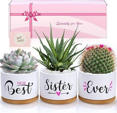 BEST TuDou Birthday Gifts for Sister, Christmas Sister Gifts for Sister Brother FWLJ3