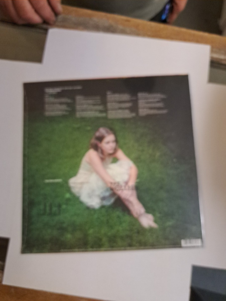 The Virgin Suicides LP Vinyl Album Record for sale online | eBay UK