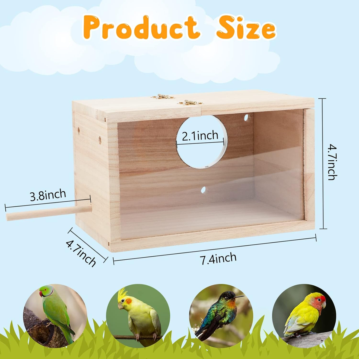 Parakeet Nesting Box Transparent Design, Thwartwise Bird Nest