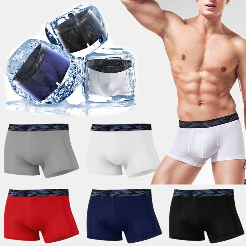 Briefs Boxer Shorts Panties Underwear Underpants Sexy Ice Silk Men's  Seamless