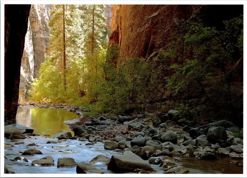 Postcard Zion National Park Deep Creek Utah UT 6x4 Virgin River Photo Gary Ladd - Picture 1 of 2