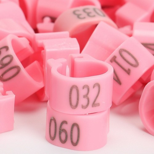 100PCS Bird Rings Leg Bands For Pigeon Parrot Clip Rings Number 1-100 US - Picture 5 of 17