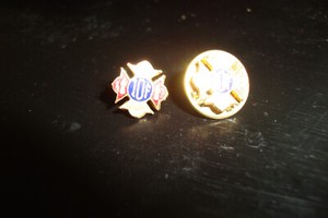 Pair Of Vintage IOF International Order of Foresters Lapel Pins