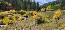 Mining Claim Gold Belt PLacer Lode 100 Acres Leadville Colorado
