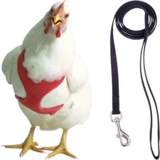 Original Valhoma Rooster Red Harness with Black 6-Feet Leash Combo MD