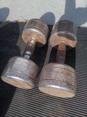 Chrome Dumbbell Set 30 Pounds 