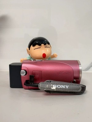 SONY HDR-CX270V 1080p HD Video Camera Handycam 30x Zoom -Pink | eBay