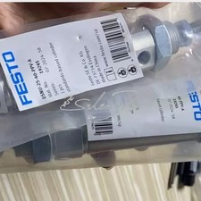 FESTO NEW DSNU-25-40-PPV-A 19245 Cylinder quickly delivery 1PCS