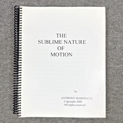 The Sublime Nature of Motion (2008) by Anthony Marinucci